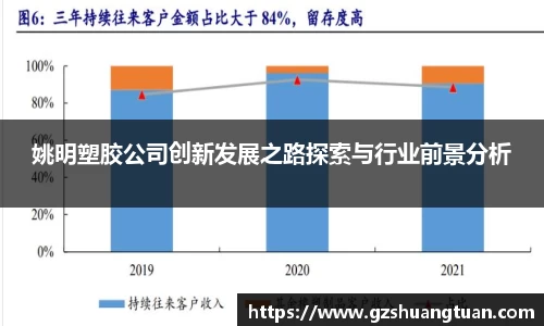 姚明塑胶公司创新发展之路探索与行业前景分析