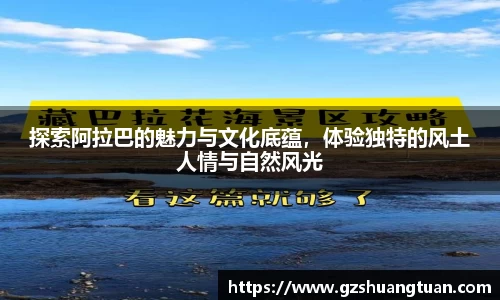 77体育官网
